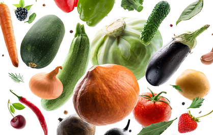FreshEcoFood